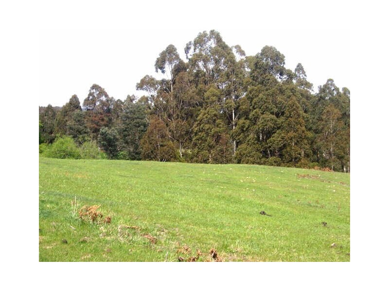 650 Mountain River Road, Mountain River TAS 7109