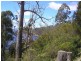 Cnr Cygnet Coast  & Dillons Hill Rds, Glaziers Bay TAS 7109