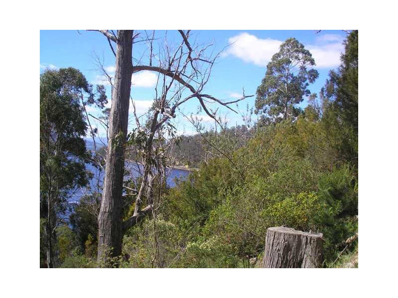 Cnr Cygnet Coast  & Dillons Hill Rds, Glaziers Bay TAS 7109