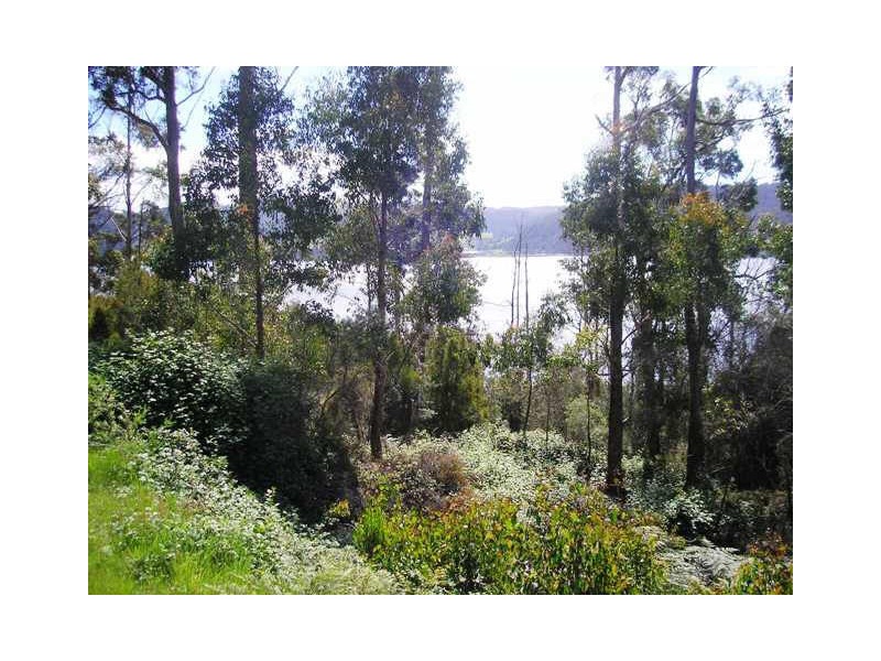 Cnr Cygnet Coast  & Dillons Hill Rds, Glaziers Bay TAS 7109