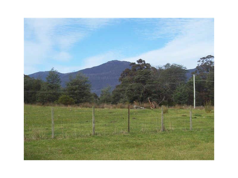 107 Fyfes Rd, Mountain River TAS 7109