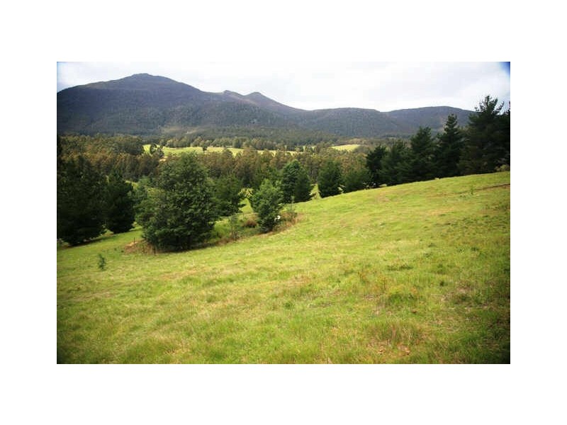 101 Bennetts Rd, Mountain River TAS 7109