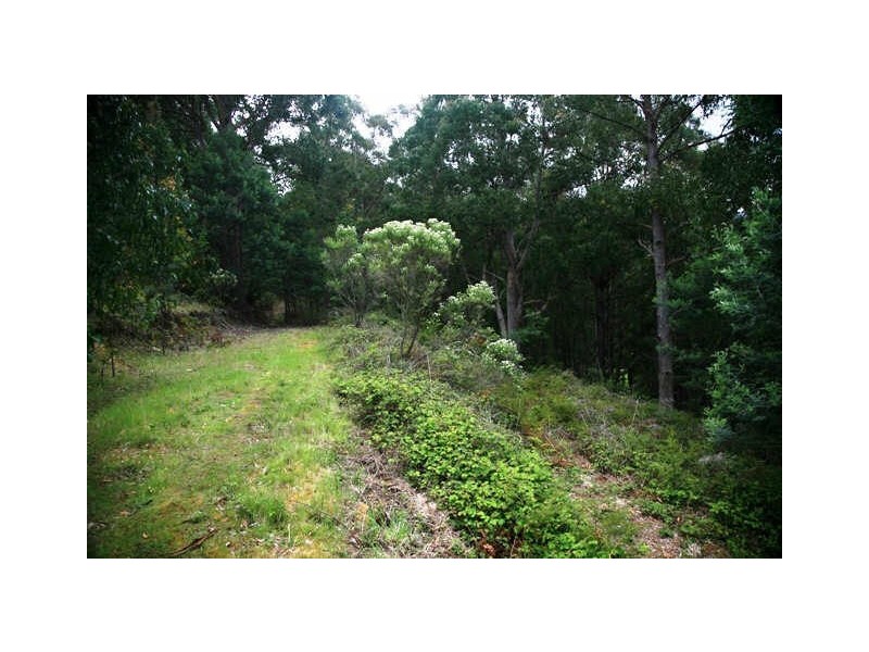 101 Bennetts Rd, Mountain River TAS 7109