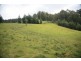 101 Bennetts Rd, Mountain River TAS 7109