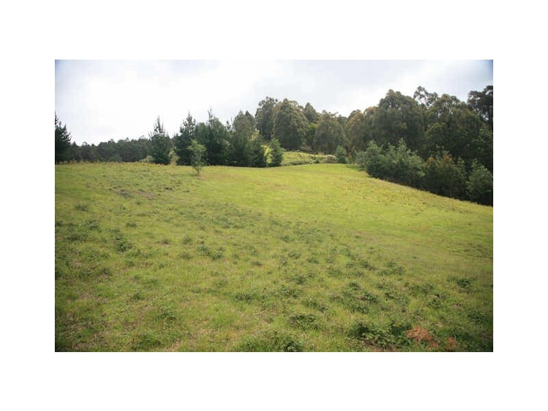 101 Bennetts Rd, Mountain River TAS 7109