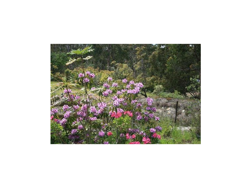 Lot 7 + 8 445 Abels Bay Rd, Abels Bay TAS 7112
