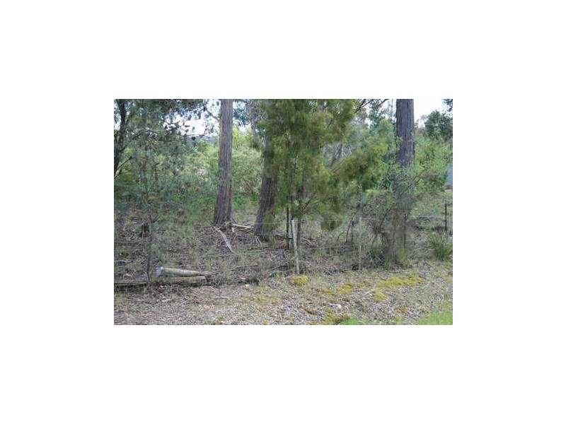 Lot 7 + 8 445 Abels Bay Rd, Abels Bay TAS 7112