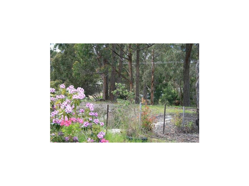 Lot 7 + 8 445 Abels Bay Rd, Abels Bay TAS 7112