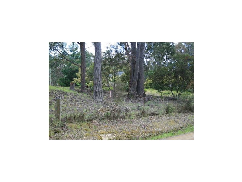 Lot 7 + 8 445 Abels Bay Rd, Abels Bay TAS 7112