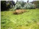17 Lune Mill Road, Lune River TAS 7109