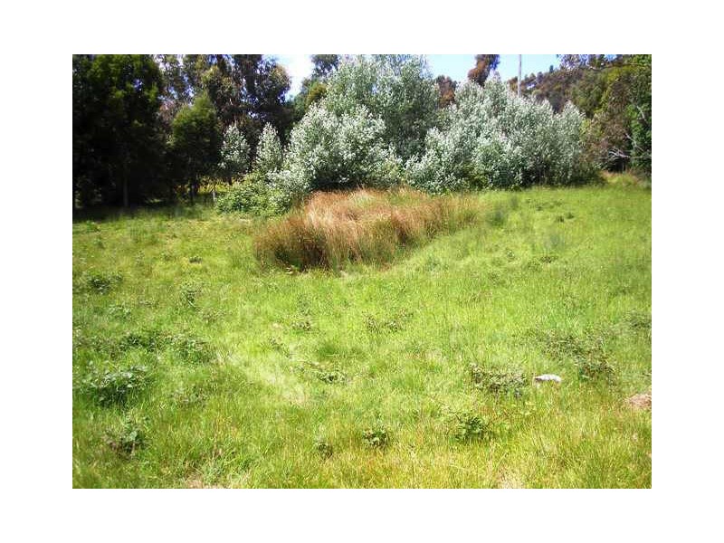 17 Lune Mill Road, Lune River TAS 7109