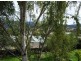 1 Mona Street, Kingston TAS 7050