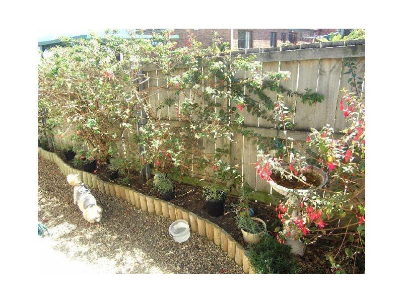 2/14 Sheoak Court, Kingston TAS 7050