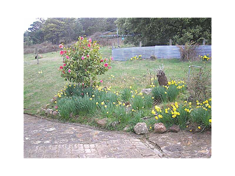 11 Clarks Road, Lower Longley TAS 7109