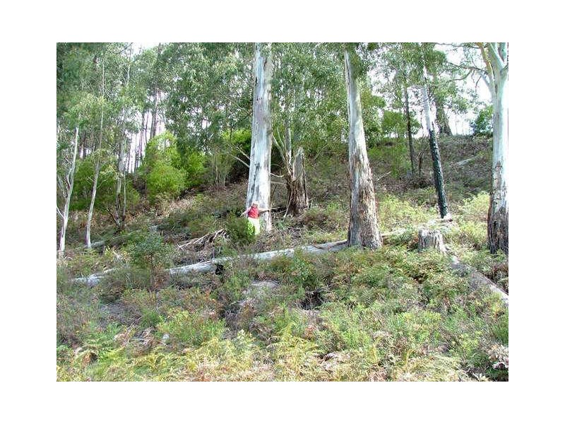 Lot 3 Lightwood Creek Road, Glen Huon TAS 7109