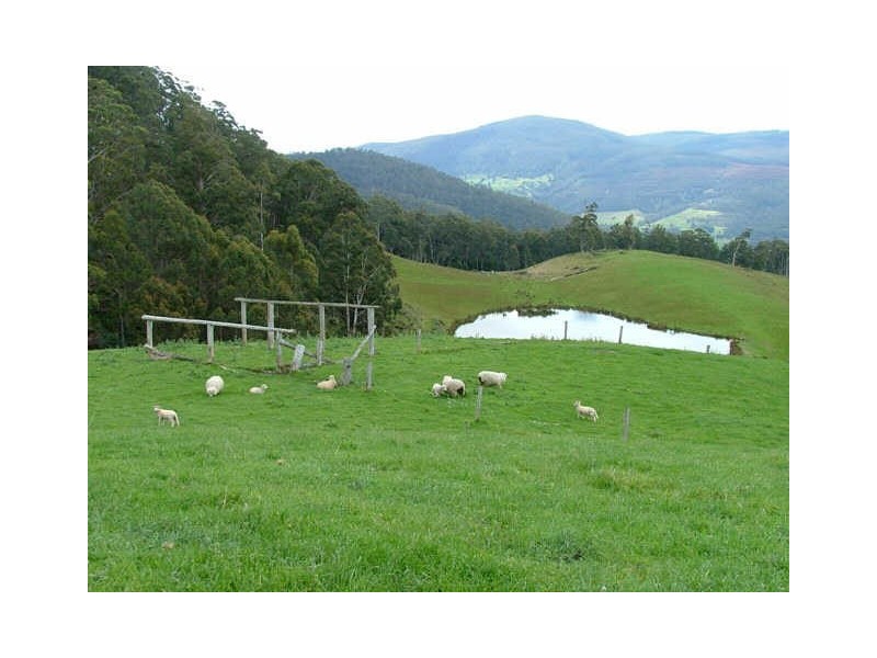 Lot 4 Lightwood Creek Road, Glen Huon TAS 7109