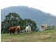 Lot 4 Lightwood Creek Road, Glen Huon TAS 7109