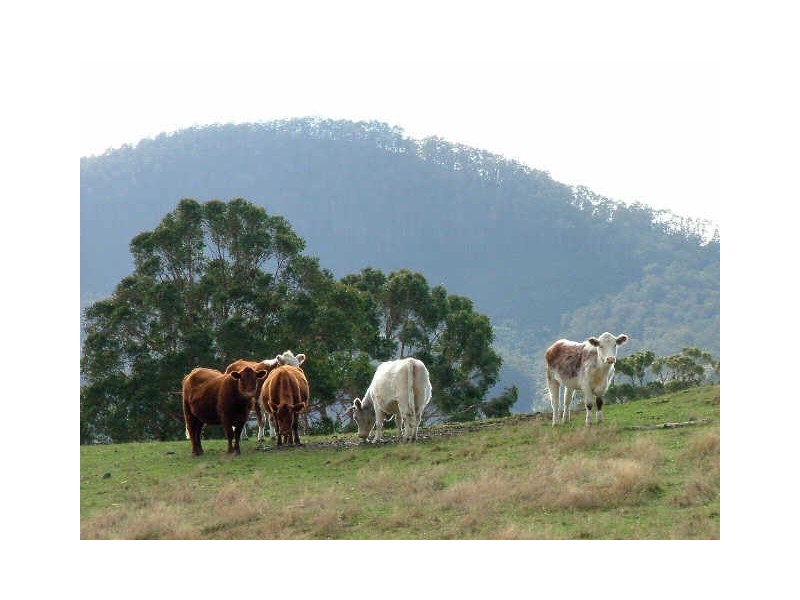 Lot 4 Lightwood Creek Road, Glen Huon TAS 7109