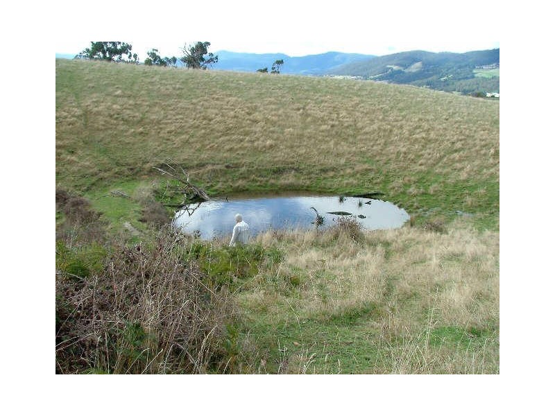 Lot 4 Lightwood Creek Road, Glen Huon TAS 7109