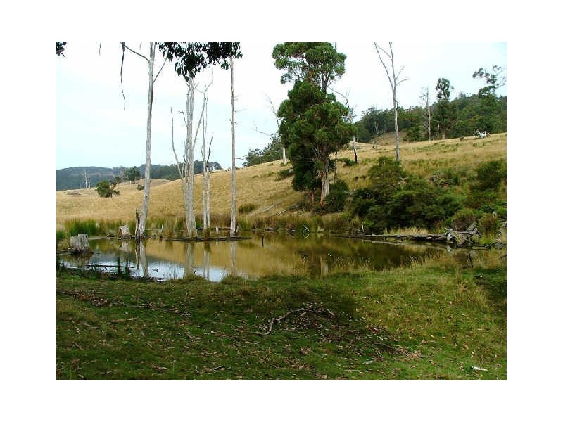 Lot 4 Lightwood Creek Road, Glen Huon TAS 7109