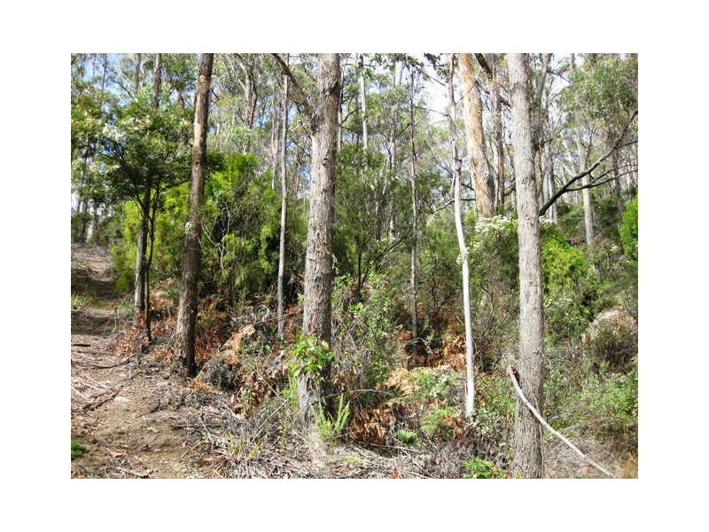 Klasen Road, Police Point TAS 7116