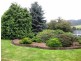 312 Arve Road, Geeveston TAS 7116