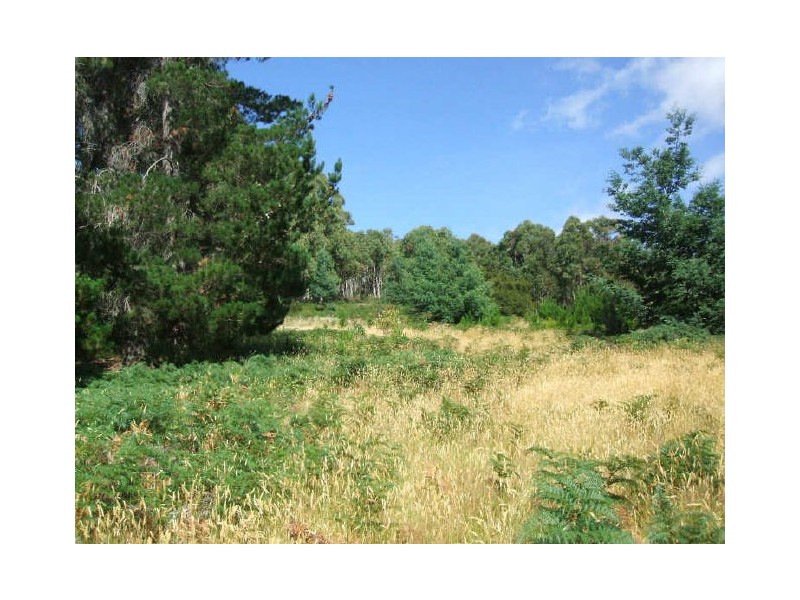 Lot 1/289 Crabtree Road, Crabtree TAS 7109