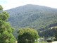 Lot 1/289 Crabtree Road, Crabtree TAS 7109