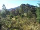 Lot 1/289 Crabtree Road, Crabtree TAS 7109