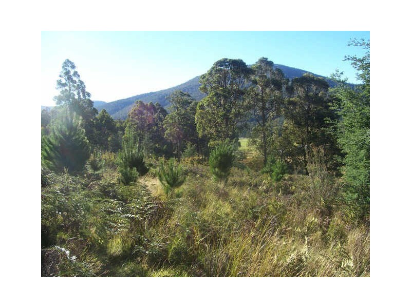 Lot 1/289 Crabtree Road, Crabtree TAS 7109