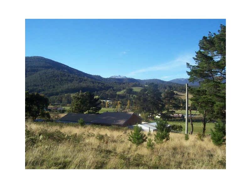 Lot 1/289 Crabtree Road, Crabtree TAS 7109