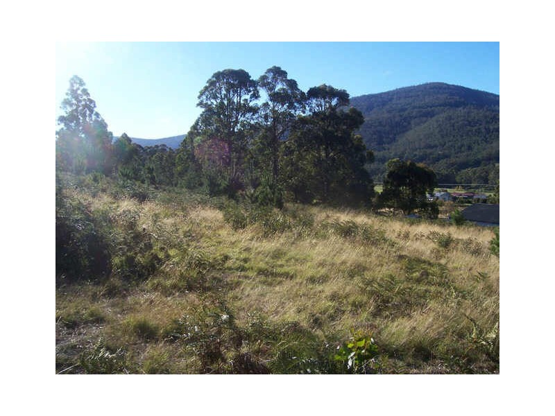 Lot 1/289 Crabtree Road, Crabtree TAS 7109