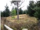 Huon Highway, Glendevie TAS 7109