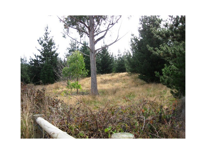 Huon Highway, Glendevie TAS 7109