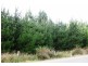Huon Highway, Glendevie TAS 7109
