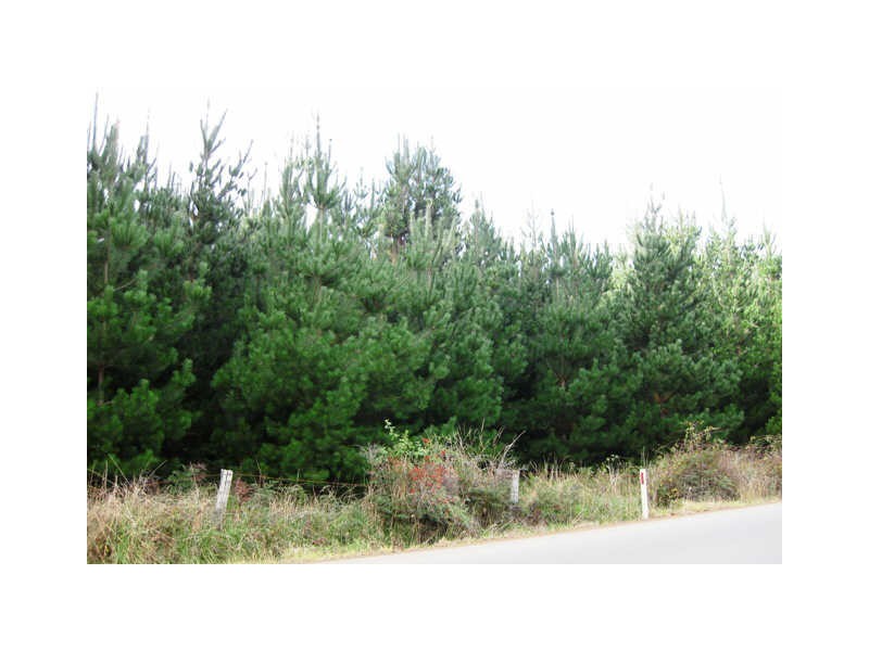 Huon Highway, Glendevie TAS 7109