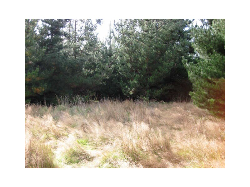 Huon Highway, Glendevie TAS 7109