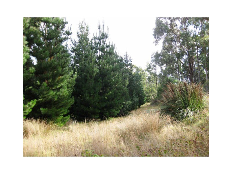 Huon Highway, Glendevie TAS 7109