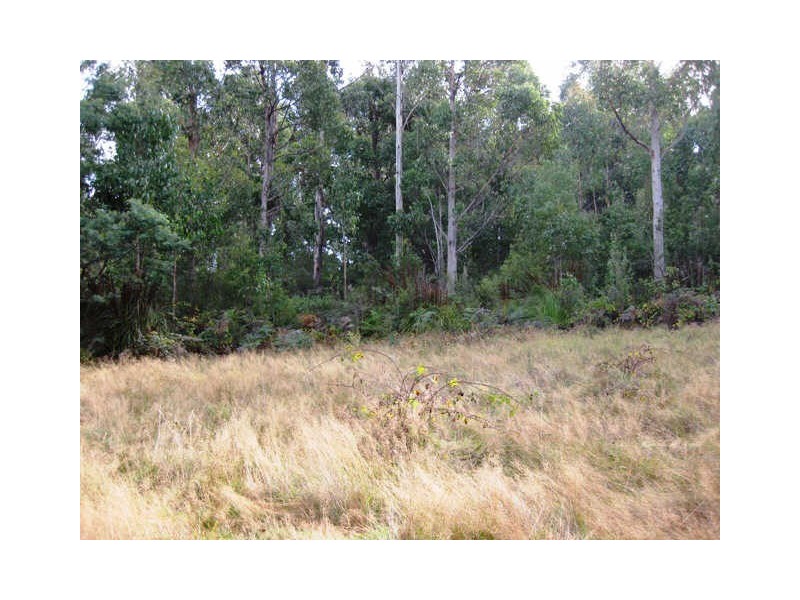 Huon Highway, Glendevie TAS 7109