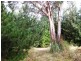 Huon Highway, Glendevie TAS 7109