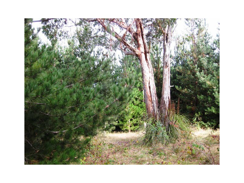 Huon Highway, Glendevie TAS 7109