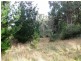 Huon Highway, Glendevie TAS 7109