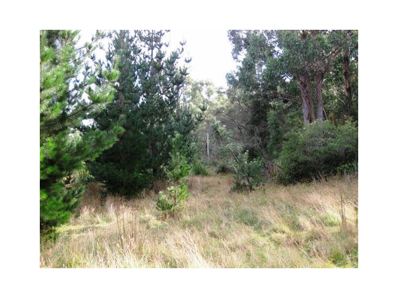 Huon Highway, Glendevie TAS 7109