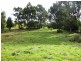 17 Lune Mill Road, Lune River TAS 7109