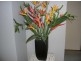 11 Sophia Street, Kingston TAS 7050