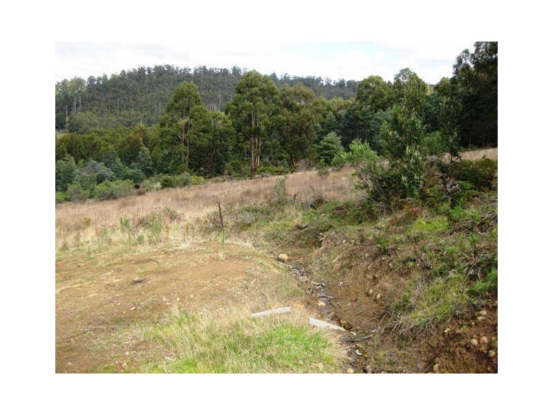 163 Morrisons Road, Huonville TAS 7109