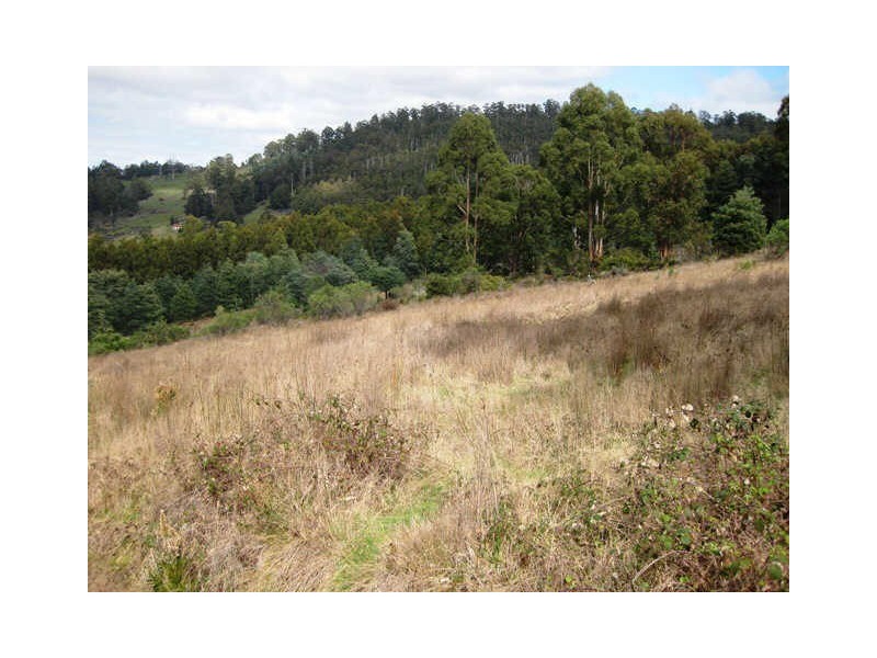 163 Morrisons Road, Huonville TAS 7109