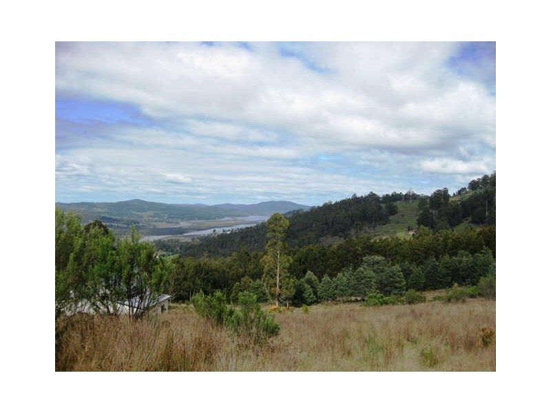 163 Morrisons Road, Huonville TAS 7109