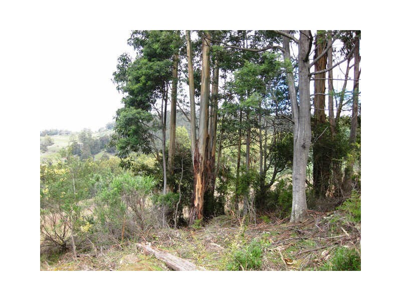 163 Morrisons Road, Huonville TAS 7109