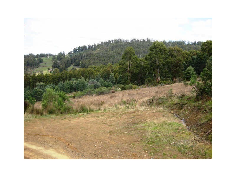 163 Morrisons Road, Huonville TAS 7109